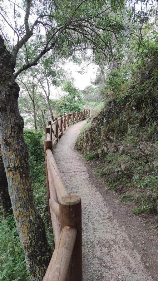 Апартаменти Puente Viejo De Buitrago Casa Encina Буїтраго-дель-Лосоя Екстер'єр фото
